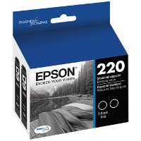Epson T220120-D2 InkJet Cartridge Dual Pack