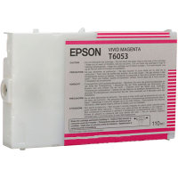 Epson T605300 InkJet Cartridge